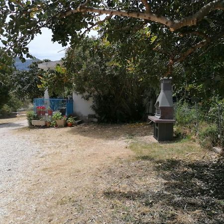 Casa indipendente immersa nel verde con vista mare Dorgali Buitenkant foto