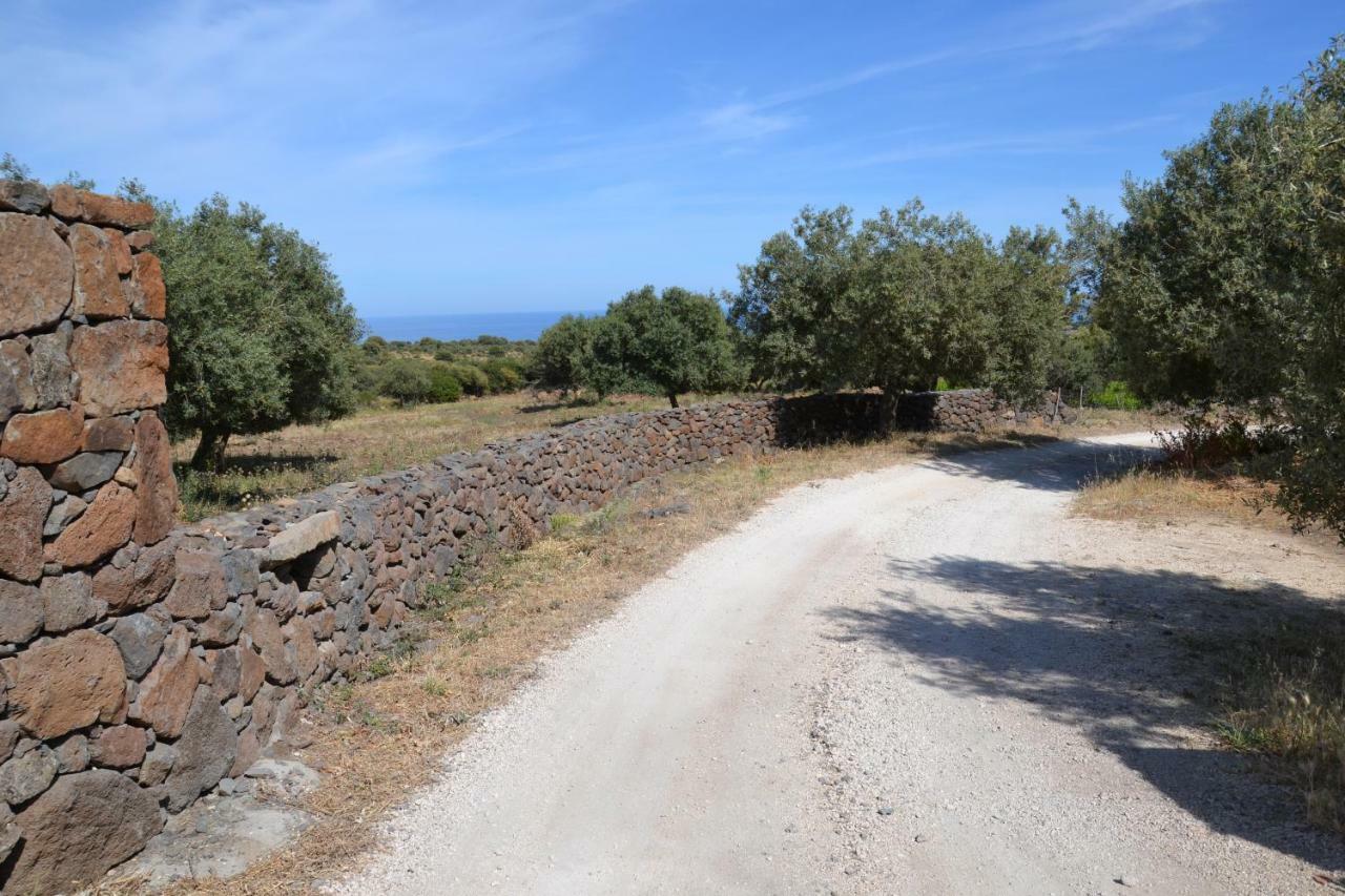 Casa indipendente immersa nel verde con vista mare Dorgali Buitenkant foto